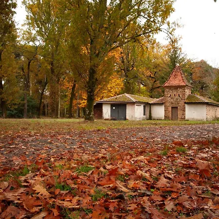 Domaine Forestier Darricau Au Bord Du Lac, 12 Min De L'ocean Vakantiehuis