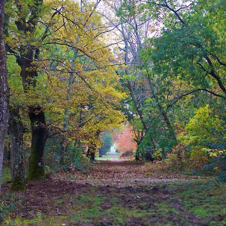 Domaine Forestier Darricau Au Bord Du Lac, 12 Min De L'ocean *