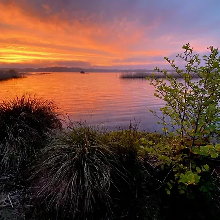 Domaine Forestier Darricau Au Bord Du Lac, 12 Min De L'ocean *
