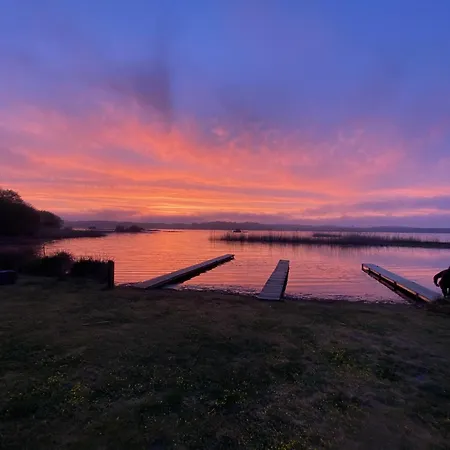 Domaine Forestier Darricau Au Bord Du Lac, 12 Min De L'ocean *