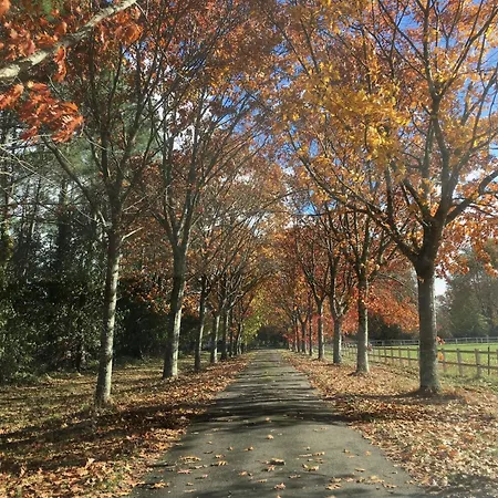 Domaine Forestier Darricau Au Bord Du Lac, 12 Min De L'ocean Aureilhan (Landes)