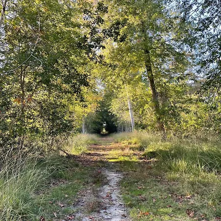 別荘 Domaine Forestier Darricau Au Bord Du Lac, 12 Min De L'ocean オレイアン