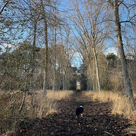 Domaine Forestier Darricau Au Bord Du Lac, 12 Min De L'ocean *
