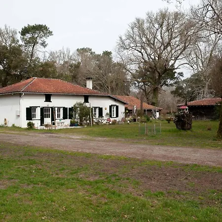Domaine Forestier Darricau Au Bord Du Lac, 12 Min De L'ocean Aureilhan (Landes)