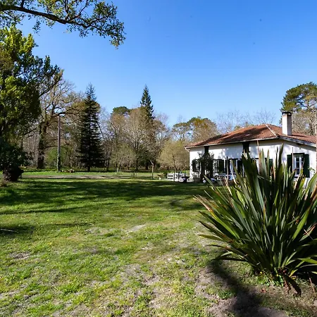 Domaine Forestier Darricau Au Bord Du Lac, 12 Min De L'ocean Holiday home