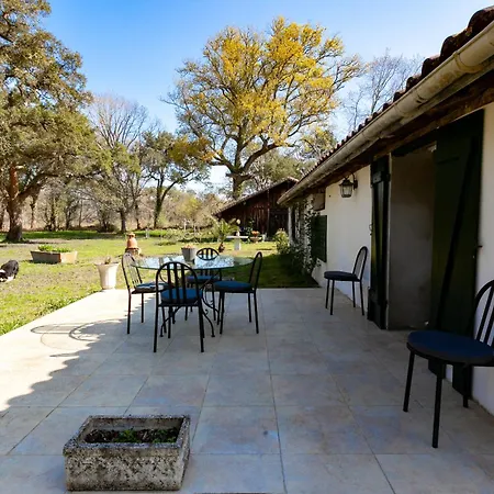 Domaine Forestier Darricau Au Bord Du Lac, 12 Min De L'ocean *