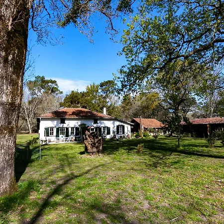 Domaine Forestier Darricau Au Bord Du Lac, 12 Min De L'ocean Holiday home