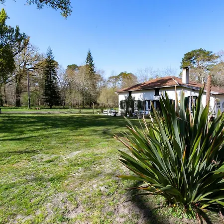 Domaine Forestier Darricau Au Bord Du Lac, 12 Min De L'ocean Holiday home