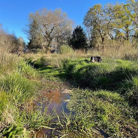 Domaine Forestier Darricau Au Bord Du Lac, 12 Min De L'ocean בית נופש