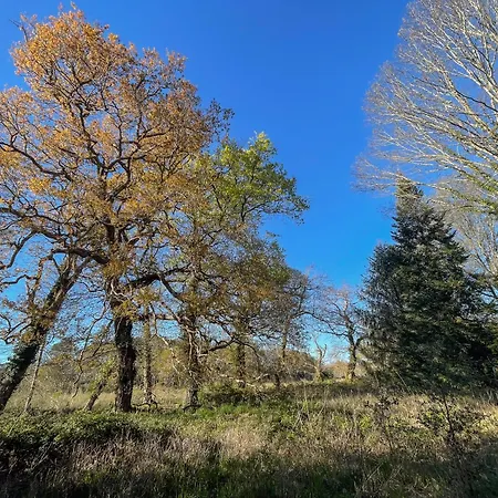 Domaine Forestier Darricau Au Bord Du Lac, 12 Min De L'ocean Holiday home