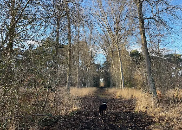 Domaine Forestier Darricau Au Bord Du Lac, 12 Min De L'ocean *